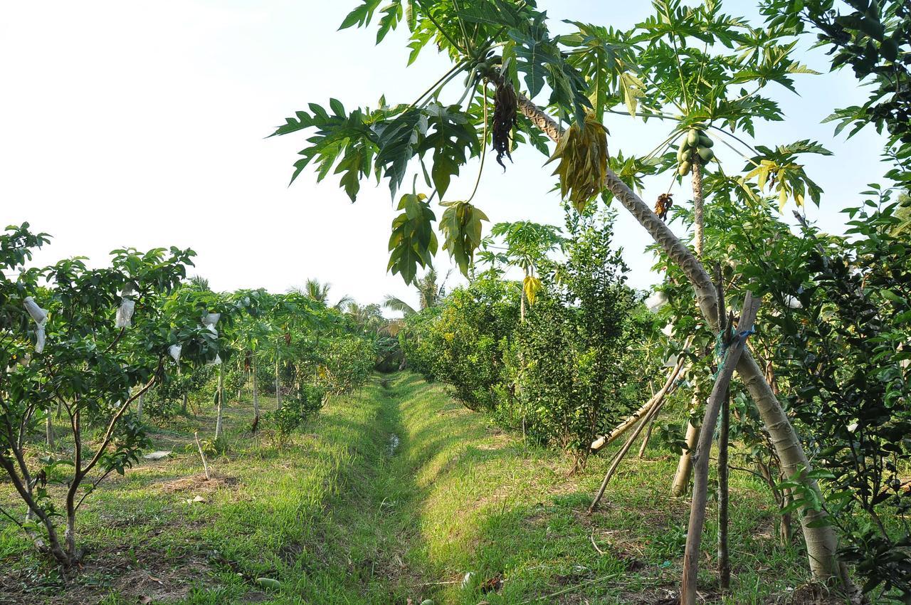 Orchard Fruit Farm Bungalow Phu Quoc Exterior photo