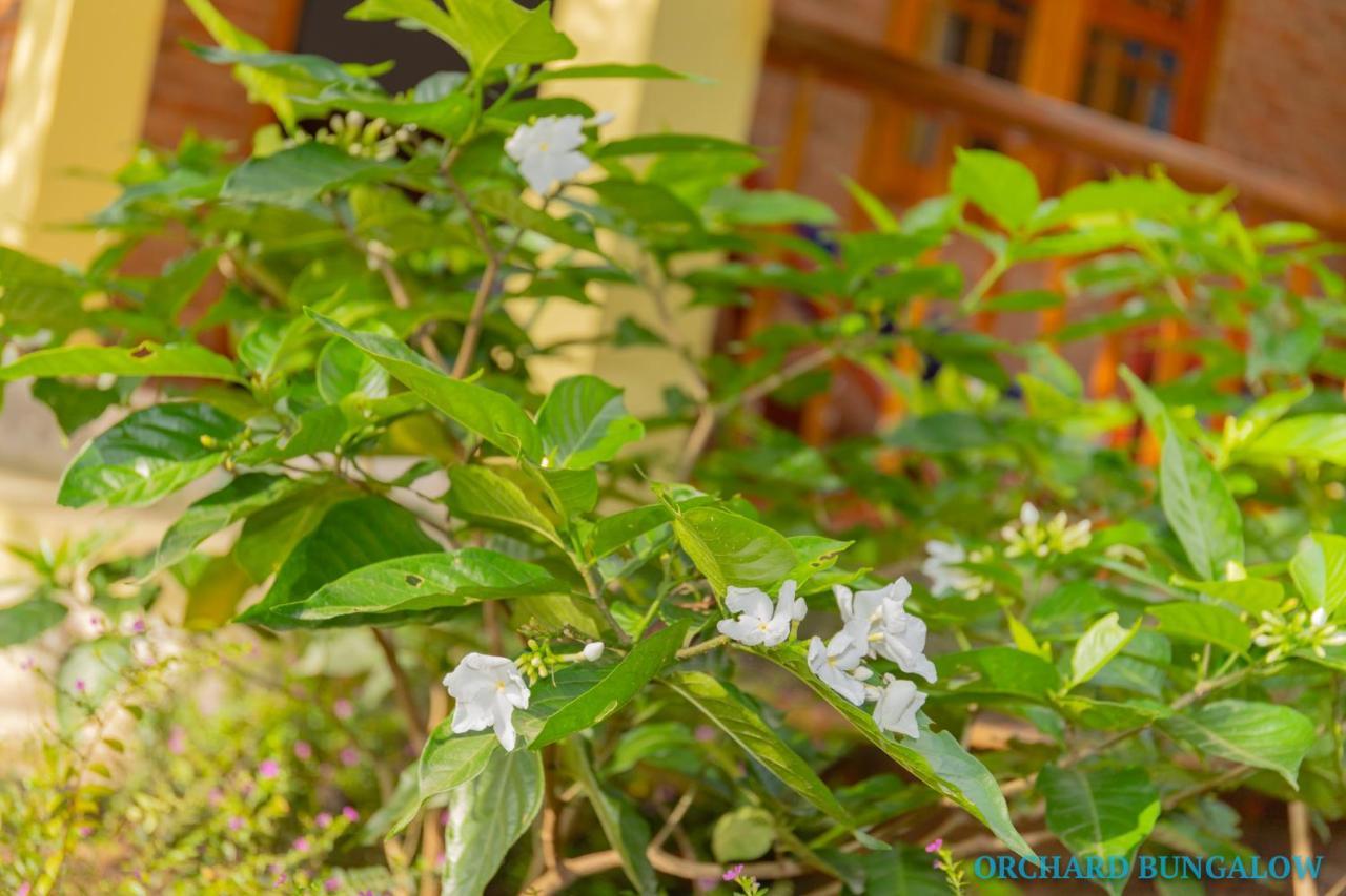 Orchard Fruit Farm Bungalow Phu Quoc Exterior photo