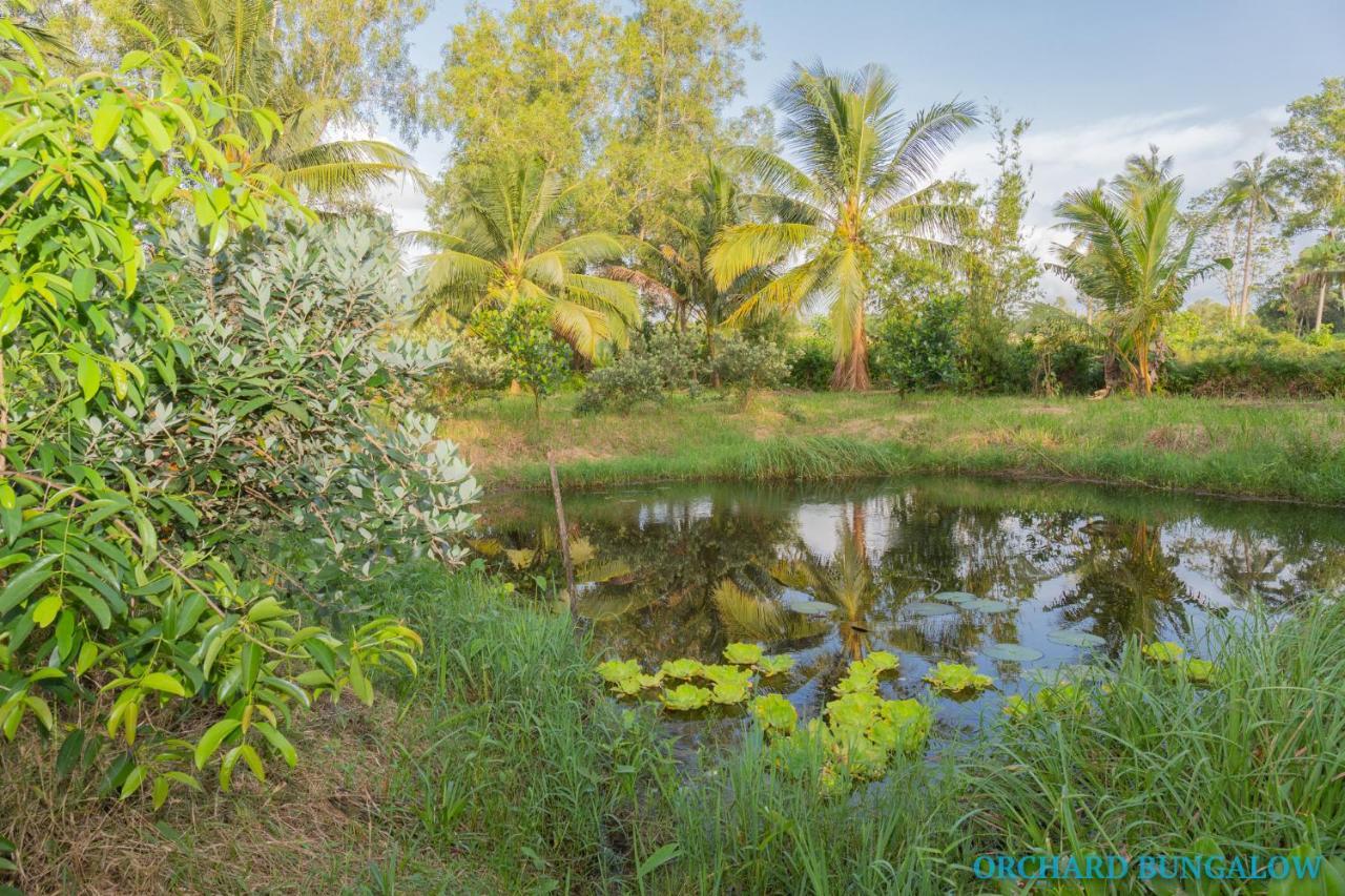 Orchard Fruit Farm Bungalow Phu Quoc Exterior photo