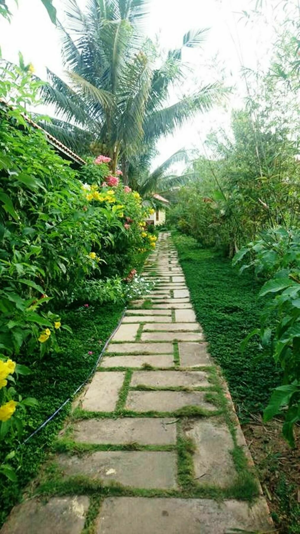 Orchard Fruit Farm Bungalow Phu Quoc Exterior photo